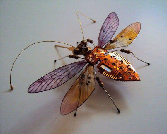 winged-insects-made