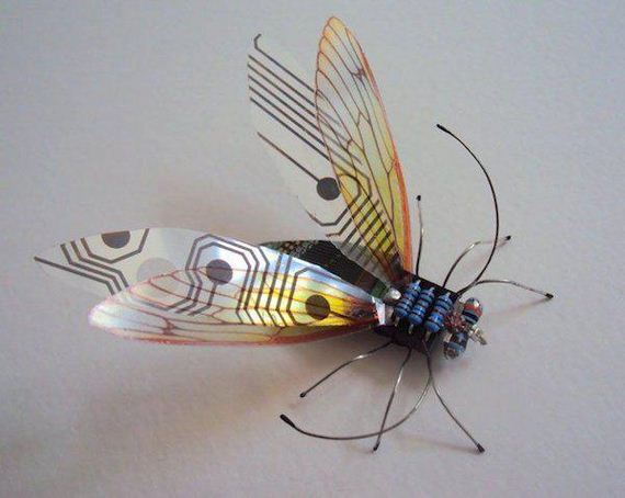 winged-insects-made