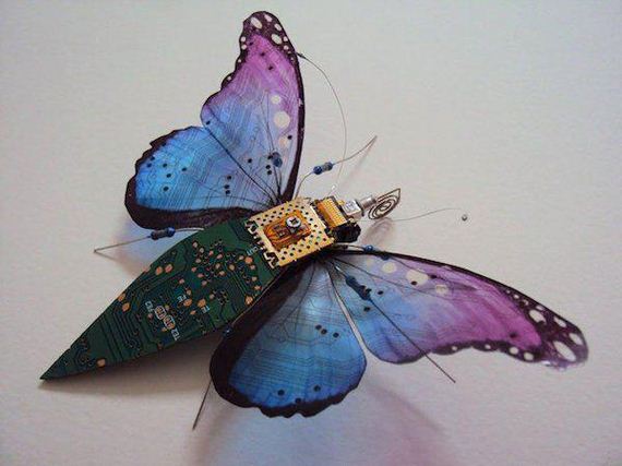 winged-insects-made