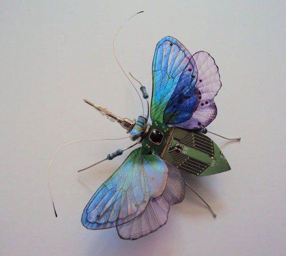 winged-insects-made