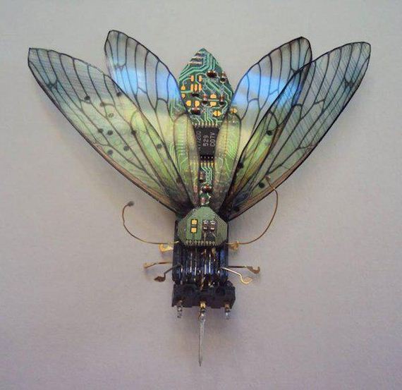 winged-insects-made