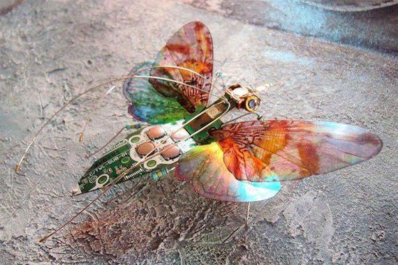 winged-insects-made