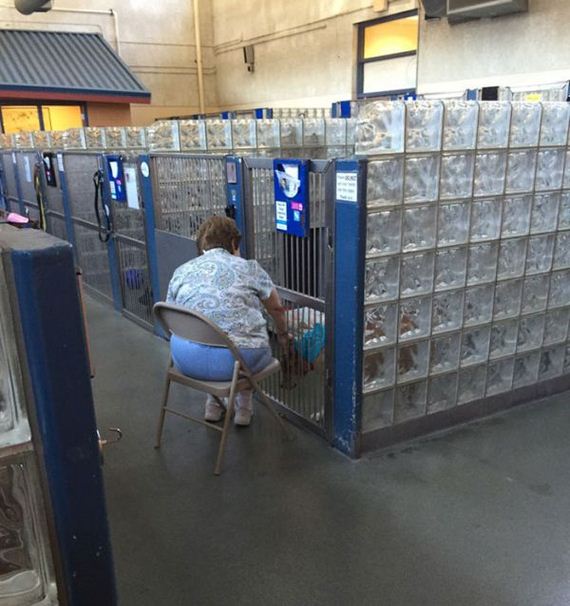 woman_reads_books_shelter
