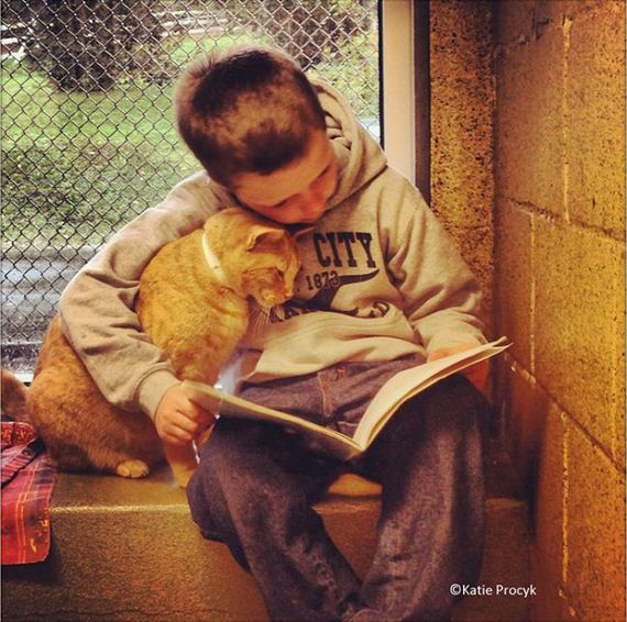woman_reads_books_shelter