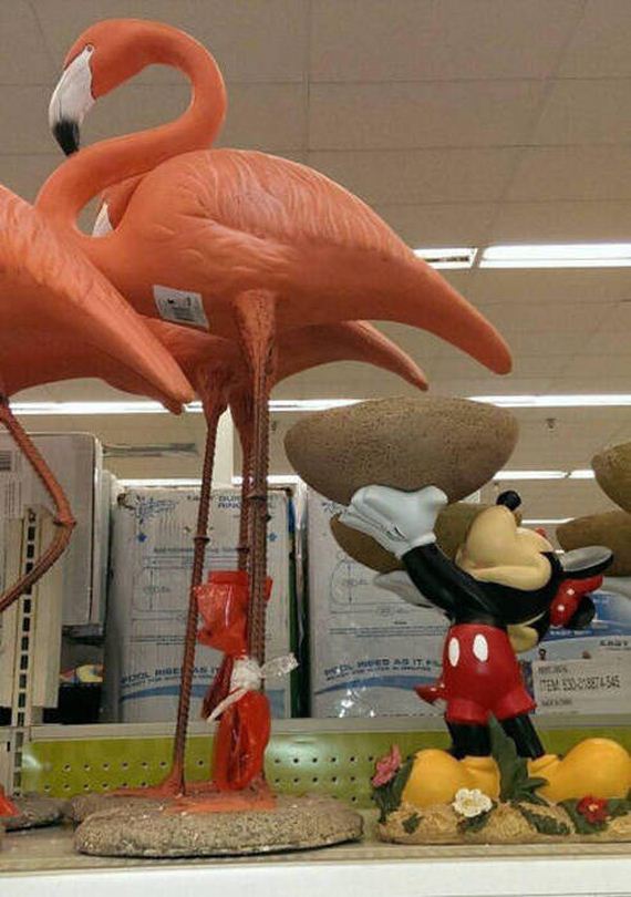 work_fails_job_lols_49