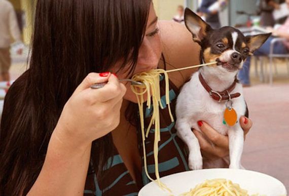 Animals-People-Food
