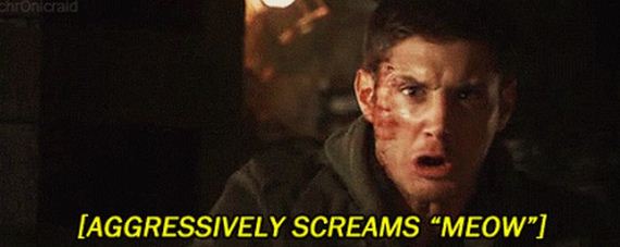 bizarre_subtitles