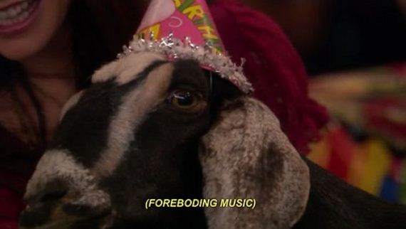 bizarre_subtitles