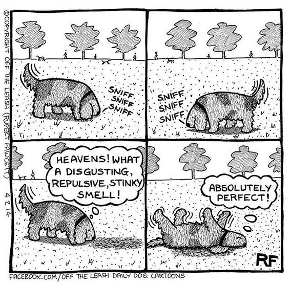comics_accurately