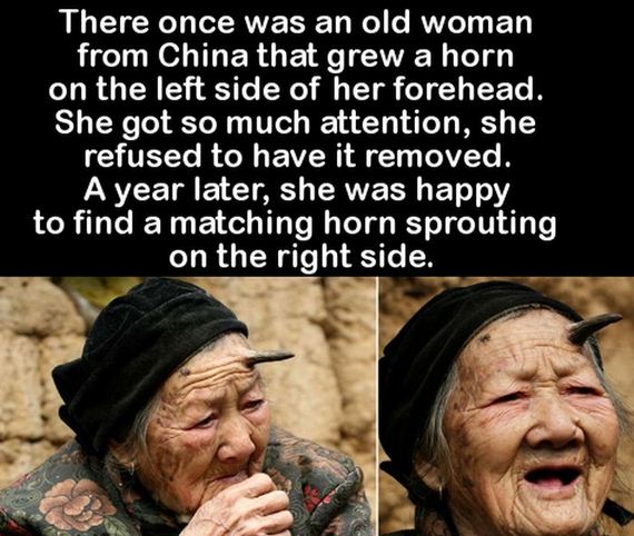 facts_to_fill_your_brain