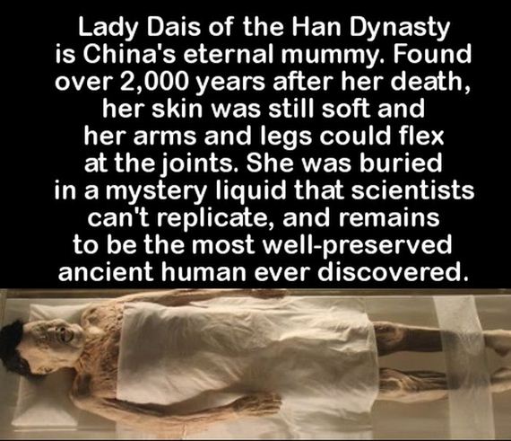 facts_to_fill_your_brain