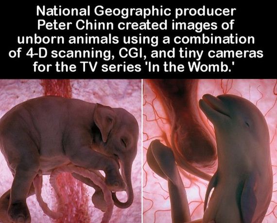 facts_to_fill_your_brain