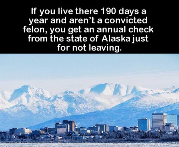 facts_to_fill_your_brain
