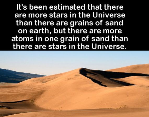 facts_to_fill_your_brain