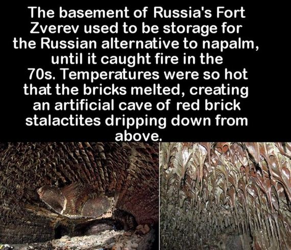 facts_to_fill_your_brain