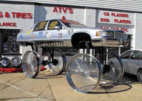 funny-pictures-1070