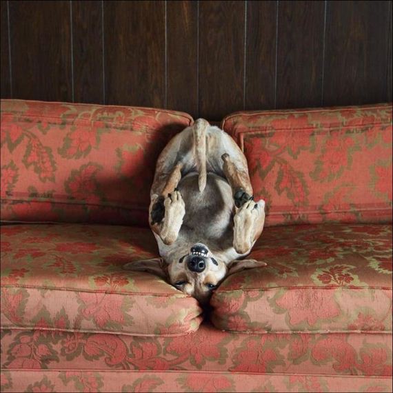 funny-pictures-1070