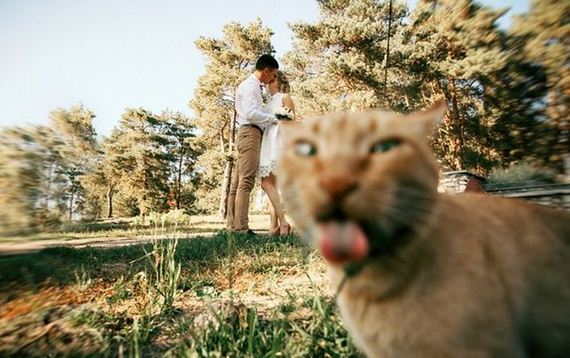 funny-pictures-1070