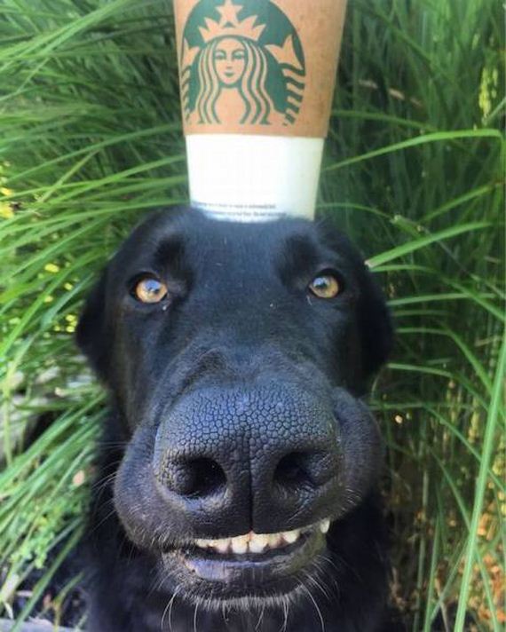 funny-pictures-1070