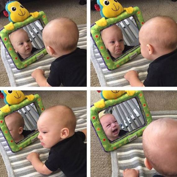 funny-pictures-1070