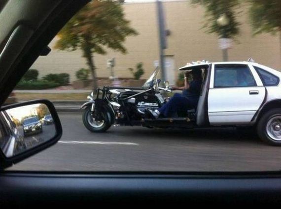 funny-pictures-1071