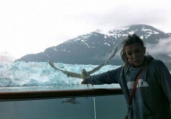 funny-pictures-1071