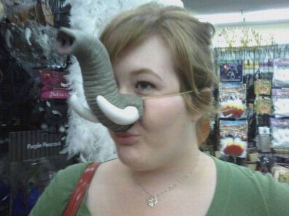 funny-pictures-1071