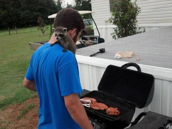 funny-pictures-1071