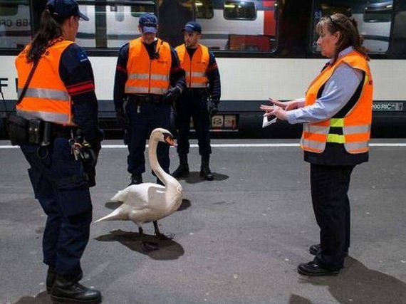 funny-pictures-1071