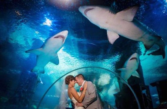funny-pictures-1071