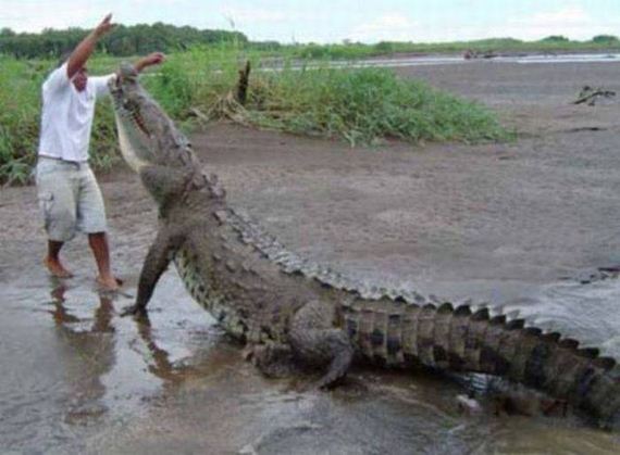 funny-pictures-1071