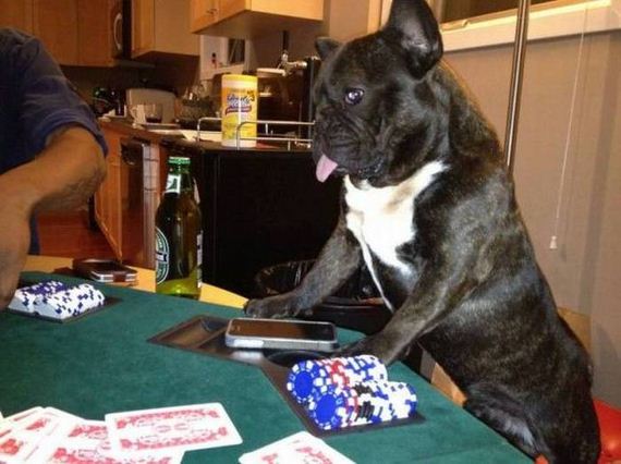 funny-pictures-1071
