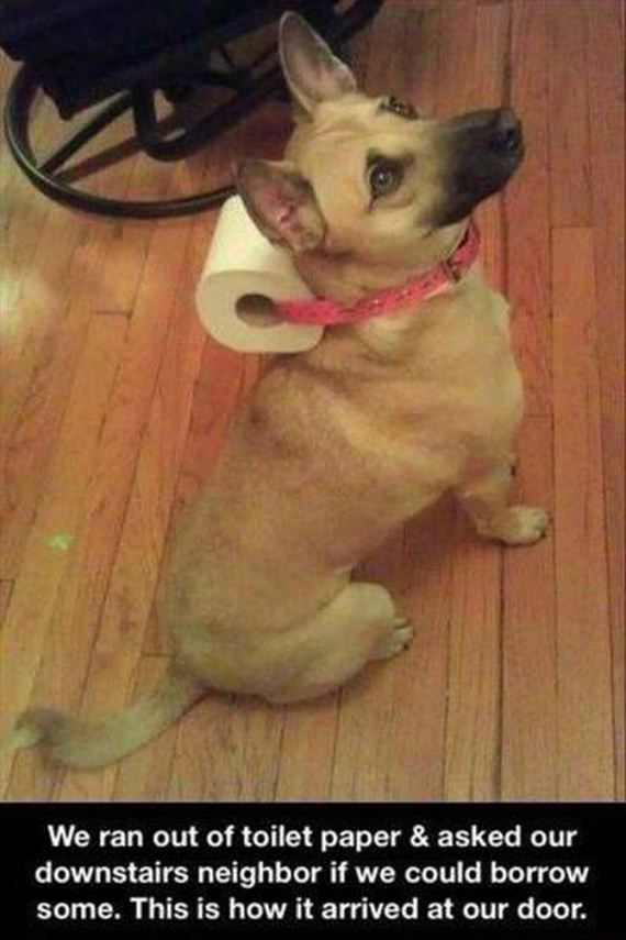 funny-pictures-1072