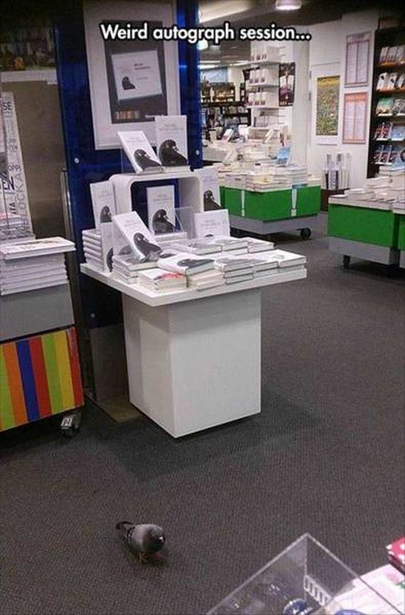 funny-pictures-1072