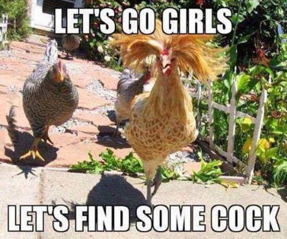 funny-pictures-1072