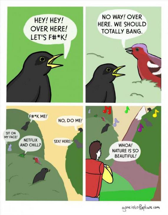 funny-pictures-1072