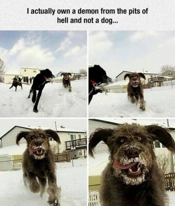 funny-pictures-1073
