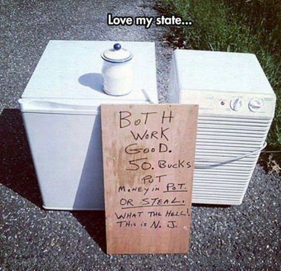 funny-pictures-1073