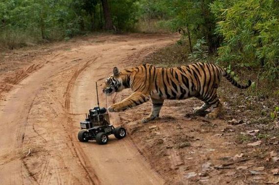 funny-pictures-1074