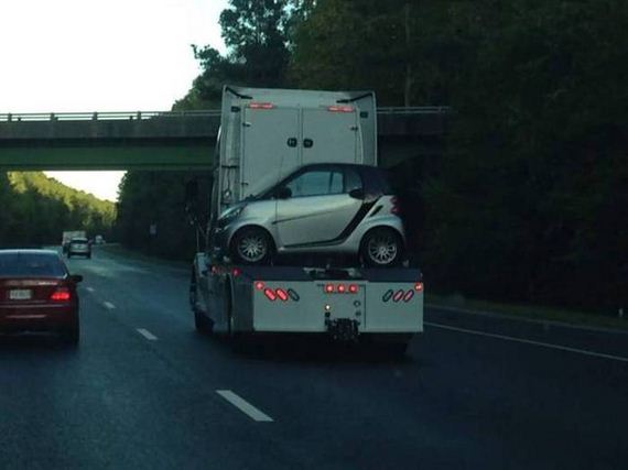 funny-pictures-1074