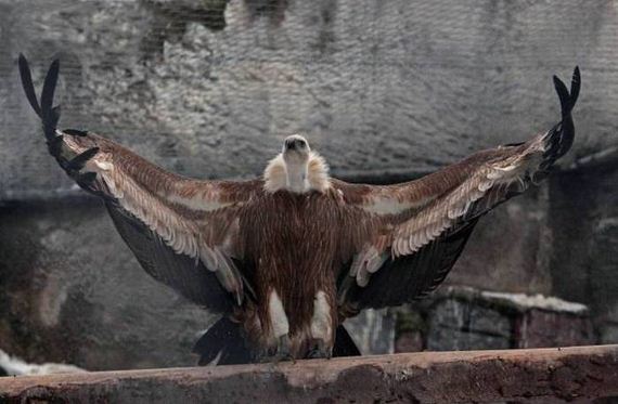funny-pictures-1074