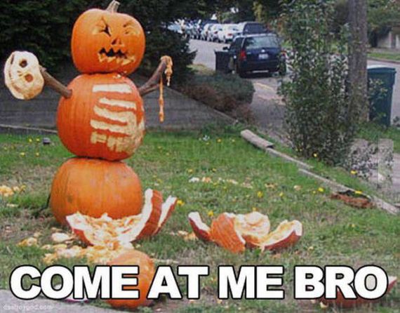 funny-pictures-1074