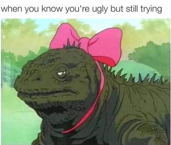 funny-pictures-1074