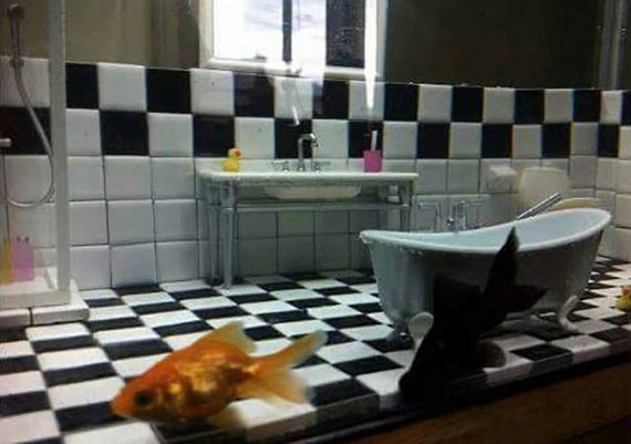 funny-pictures-1074