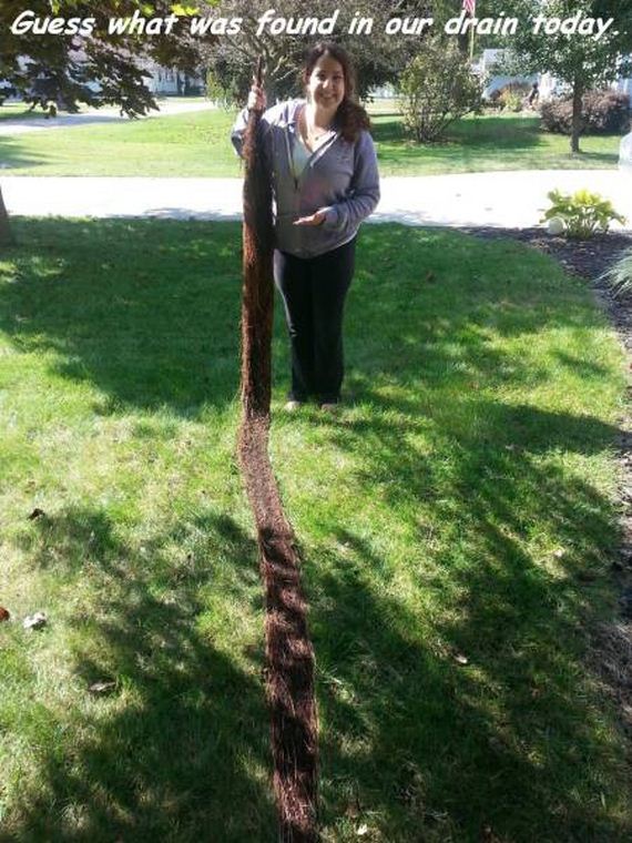 funny-pictures-1075