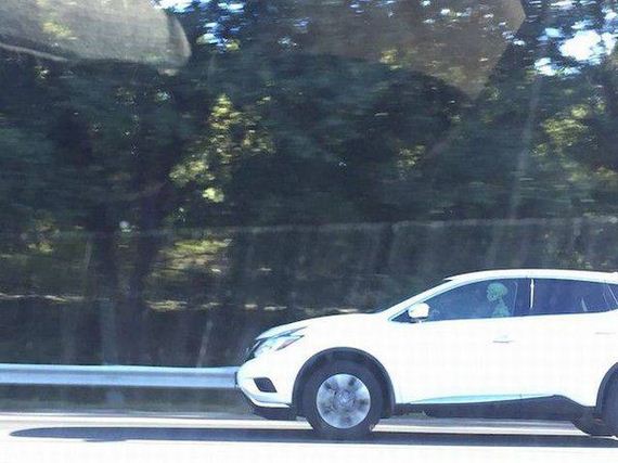 funny-pictures-1075