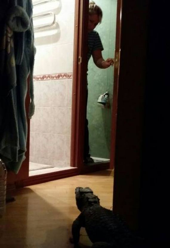 funny-pictures-1075