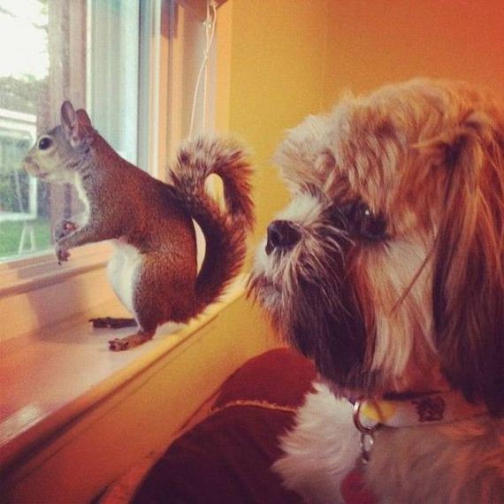 funny-pictures-1075
