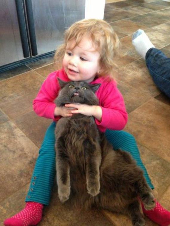 funny-pictures-1075
