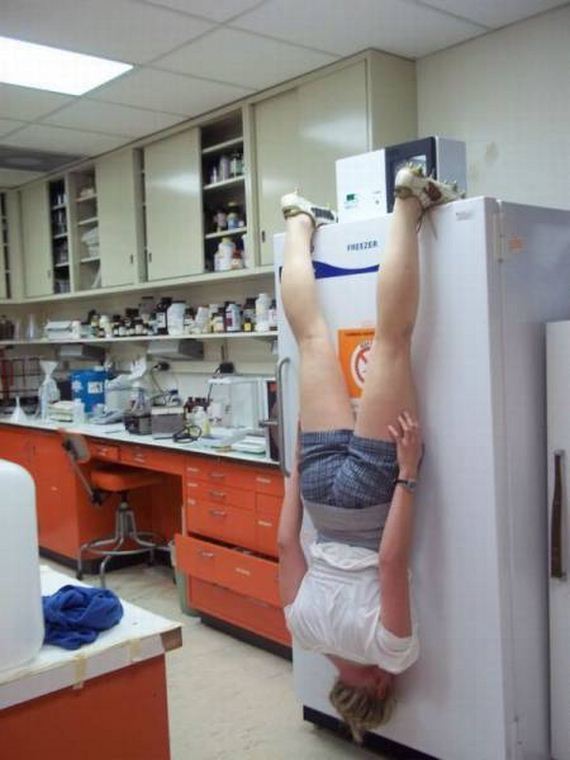 funny-pictures-1075